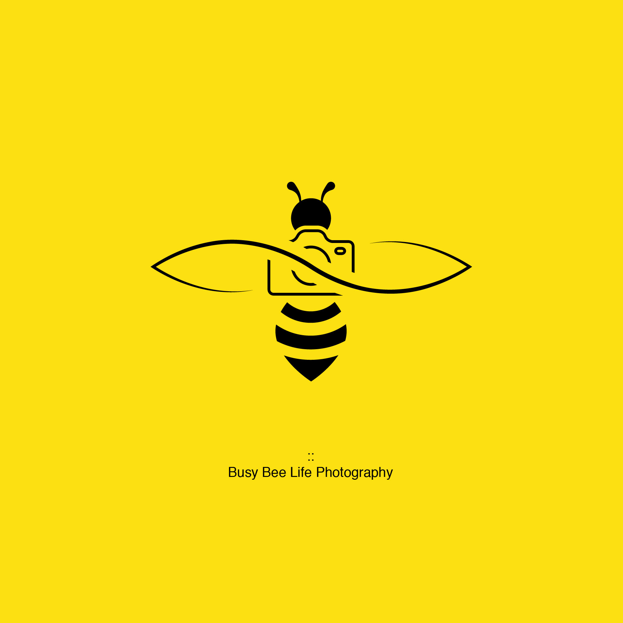 Busy Bee Life Photography