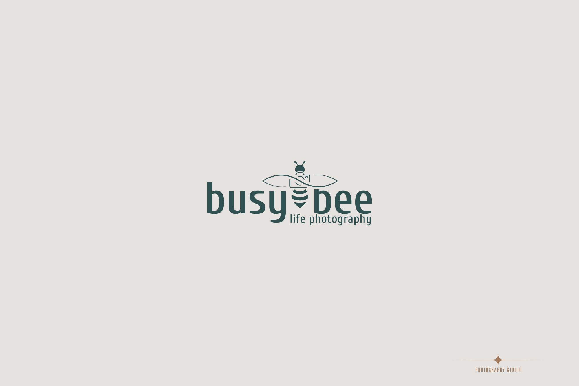 Busy Bee Life Photography