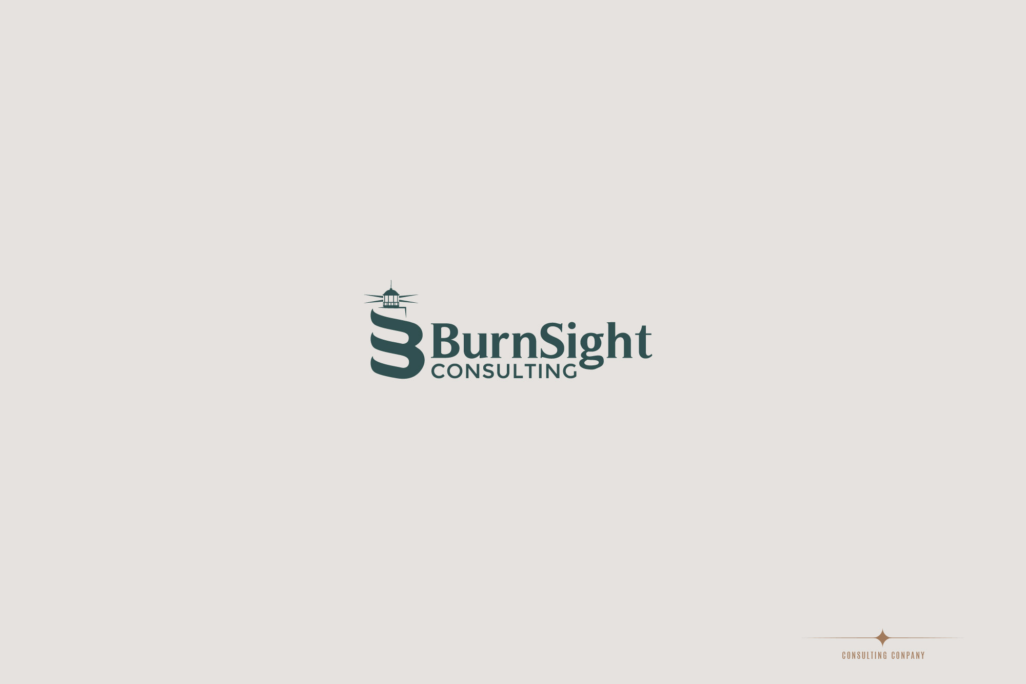 Burnsight Consulting